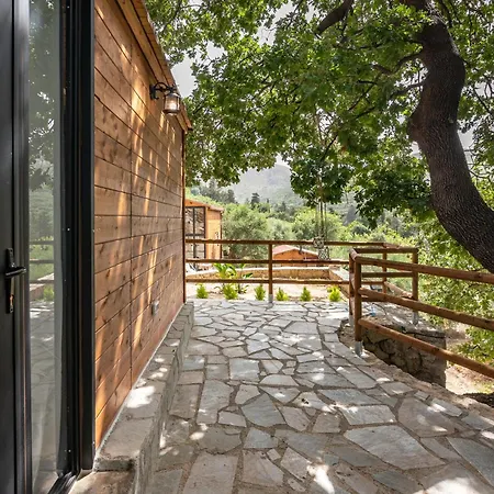Wooden House