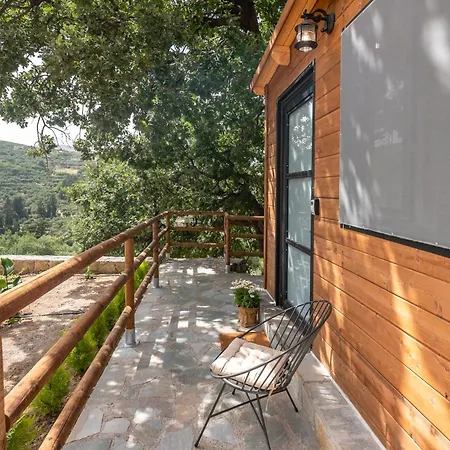 Chalet Wooden House