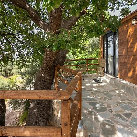 Wooden House *